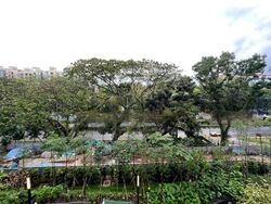 Mayfair Modern (D21), Condominium #472926301